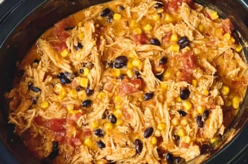 Delicious Southwest Crock Pot Chicken and Rice served in a bowl