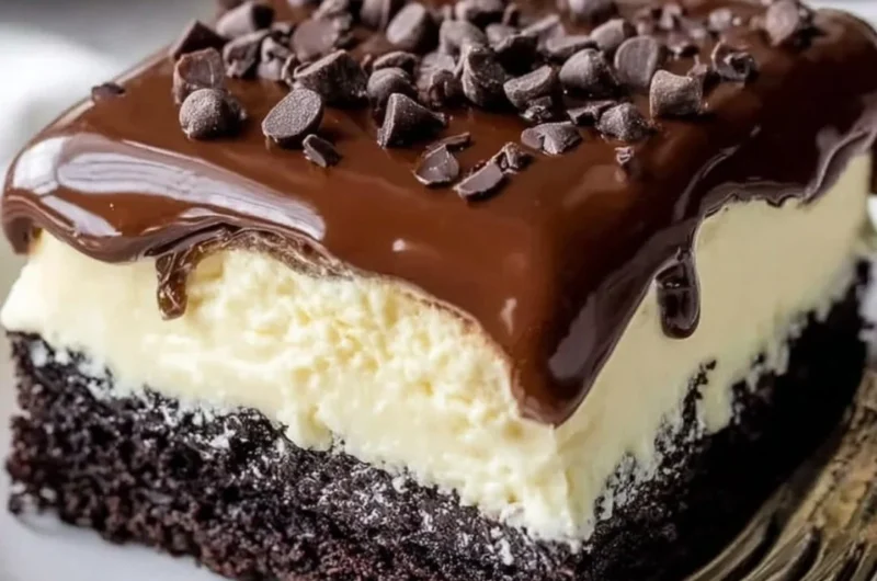Delicious Chocolate Ooey Gooey Cake with rich chocolate frosting and gooey texture